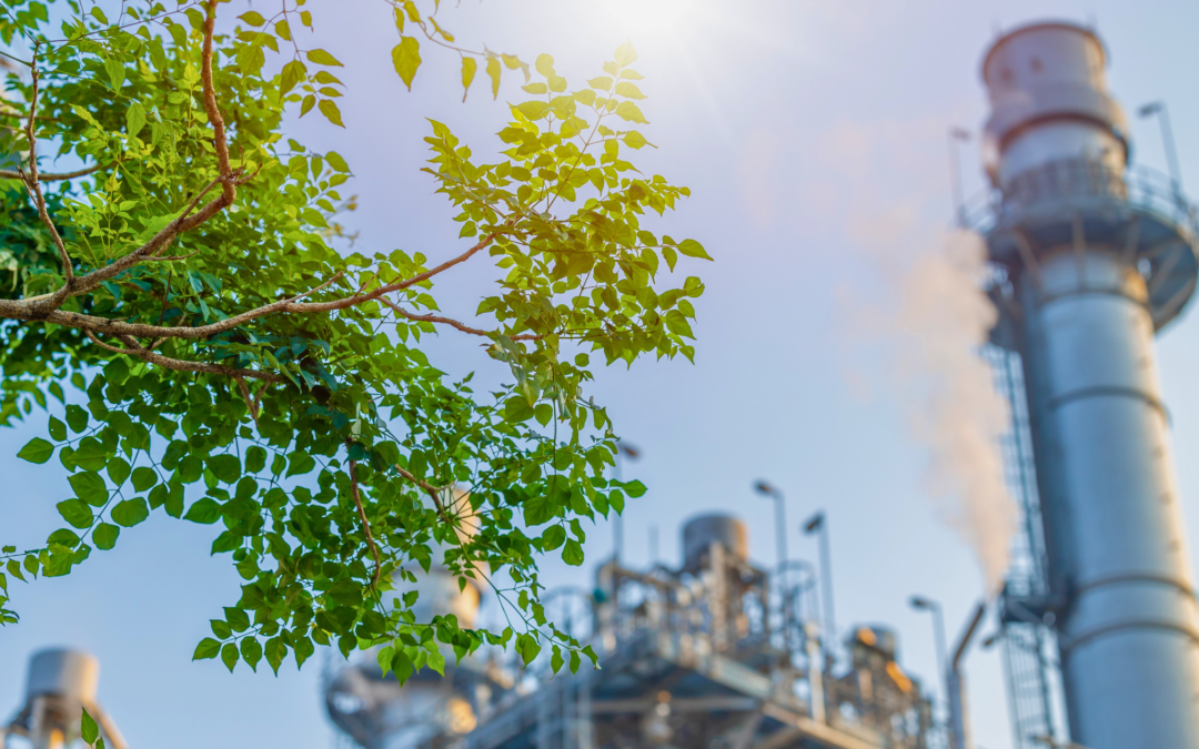 Navigating Environmental Considerations in Industrial Plants