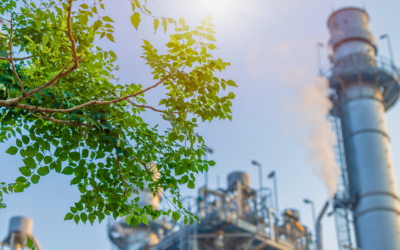 Navigating Environmental Considerations in Industrial Plants